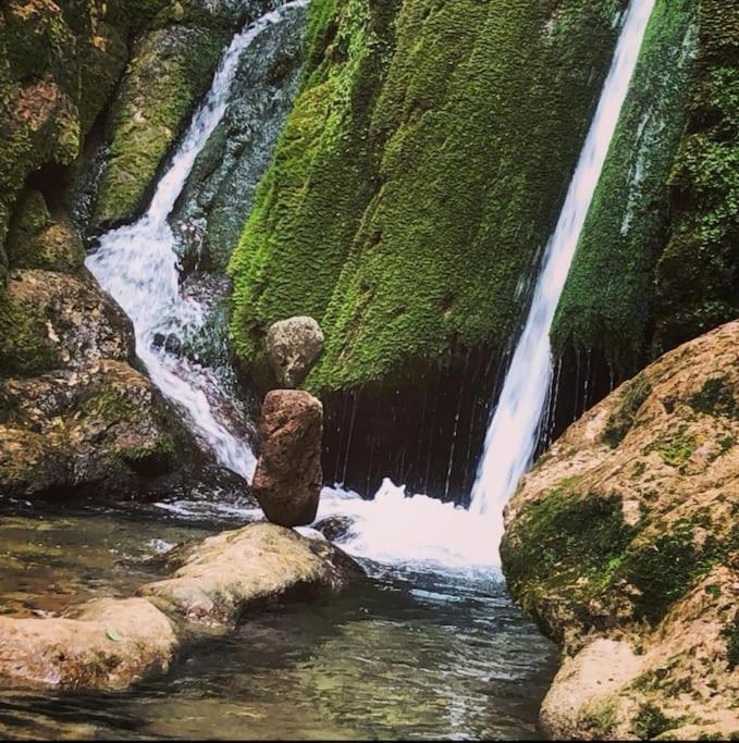Maison Chaleureuse En Ariege Roquefort-Les-Cascades Exteriör bild